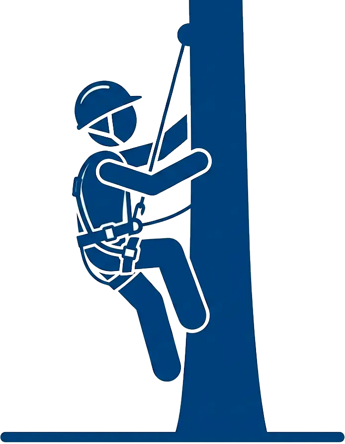 Cumplimiento y Seguridad